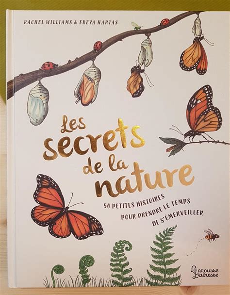 Le secret de Khéops